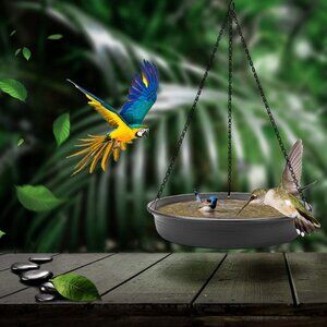 Hanging Bird Bath Hanging Bird-Feeder Bird Bath